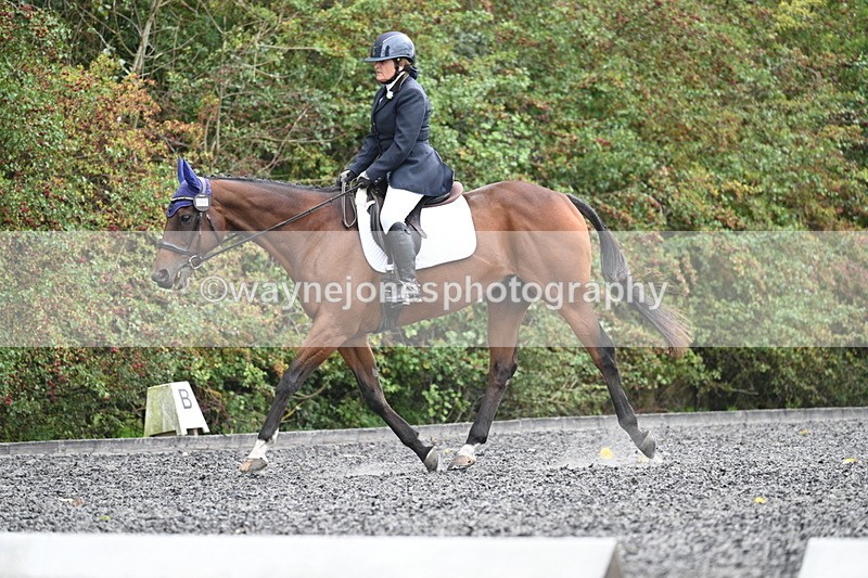 WJ7_6480 - Time 14:49 to 15:14