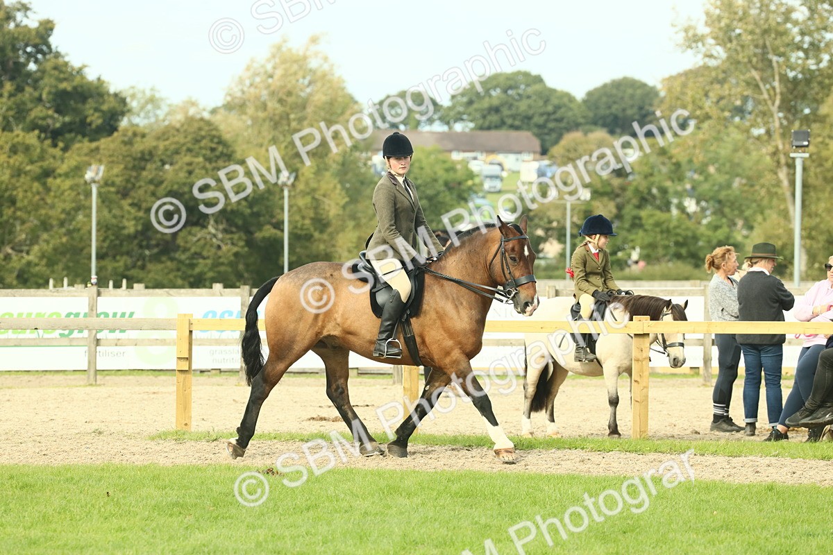 SBM_68262 - S58 - Mini Show Cob Ridden