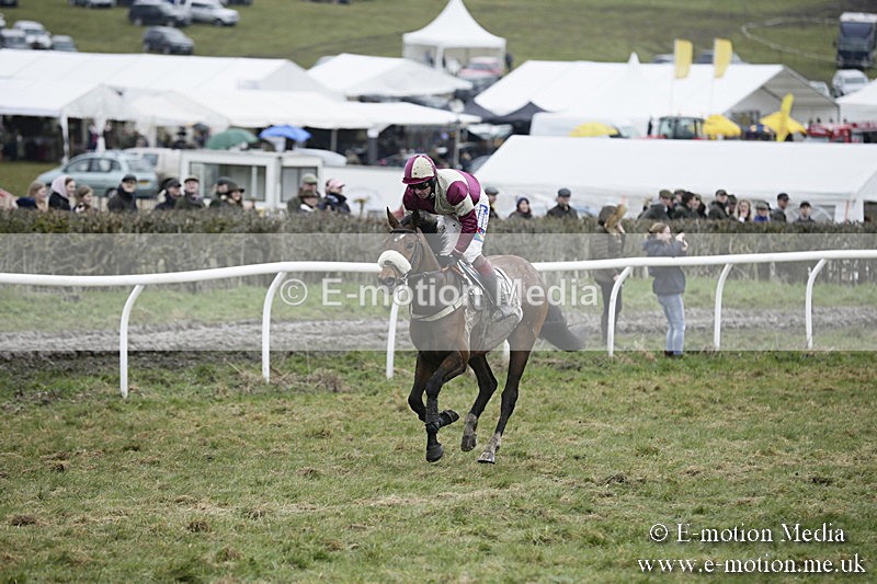 PtP 020418 -495 - Old Berks Point-to-Point Races Easter Monday 02/04/18