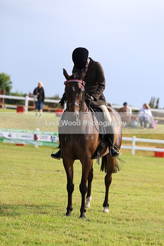 3E7A8279 - Class 2: Rising Star Large Hack/Riding Horse