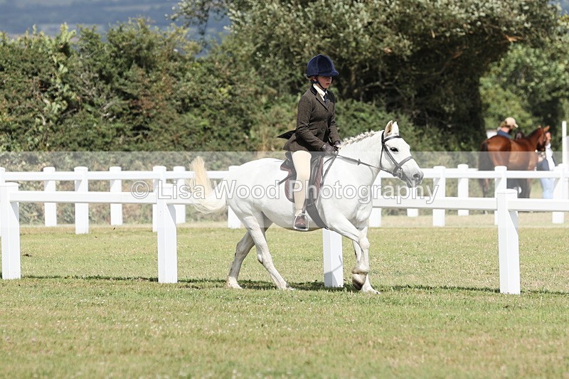 JPP_2387 - Class 19: Working Hunter 60cm