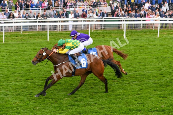 yr22052022r3-40 - Race 3: 4:35pm Sky Bet Sunday Series Dash