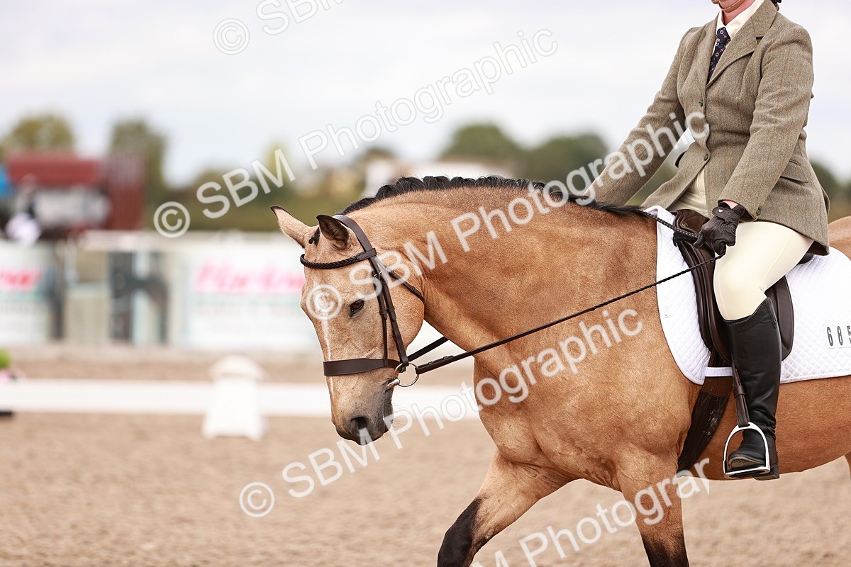 SBM_06343 - Class 37 - Novice 5