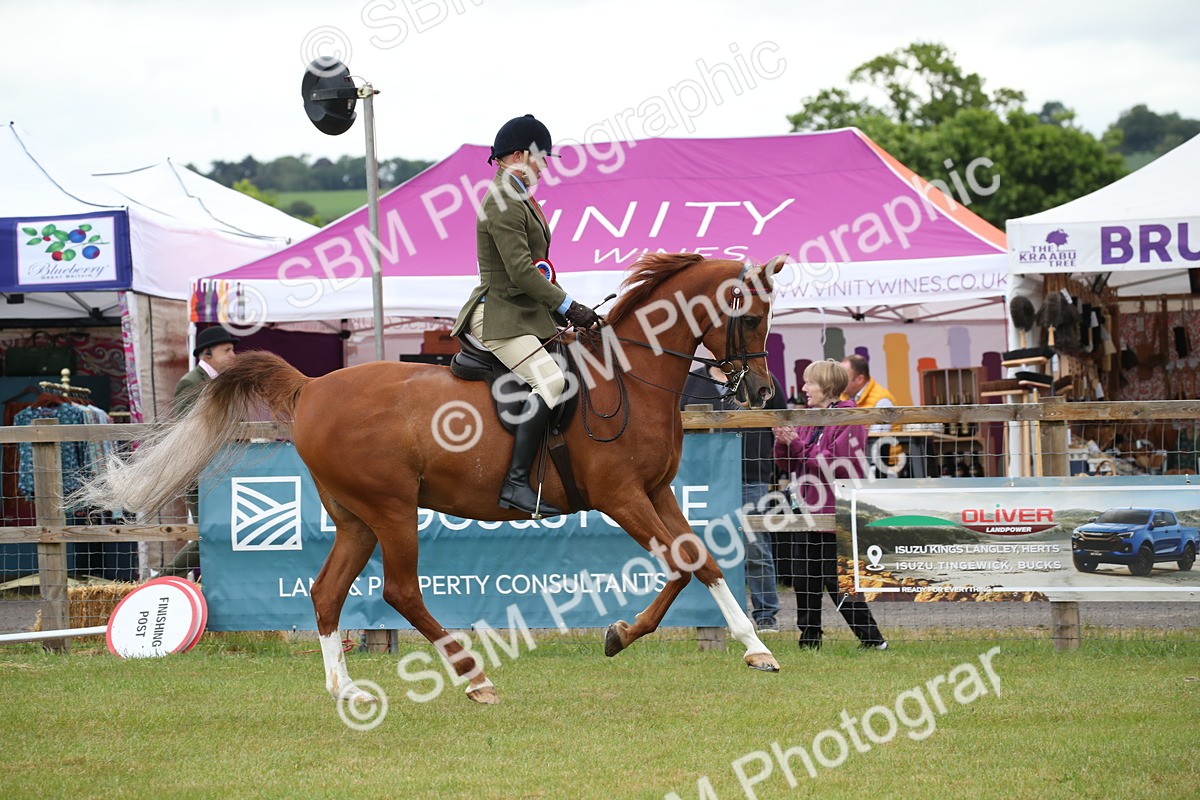 SBM_03659 - Class 21 - 22 - Ridden Arab and Part Bred/Anglo Arab
