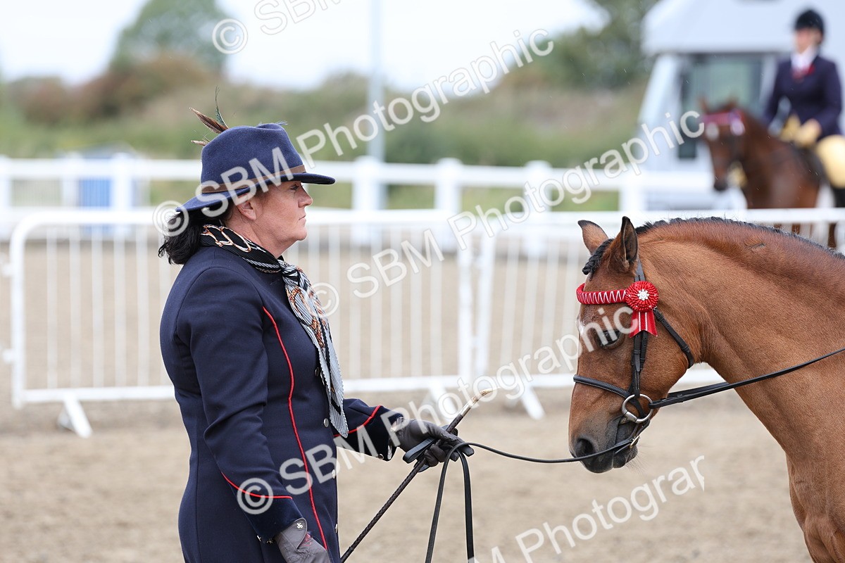 SBM_01412 - Class 51 - Best Turned Out Ridden