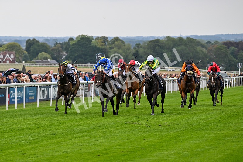290826-Race 1-Trilby-5226 - Race 1 1.45pm Blink And You Miss It Sprint Handicap