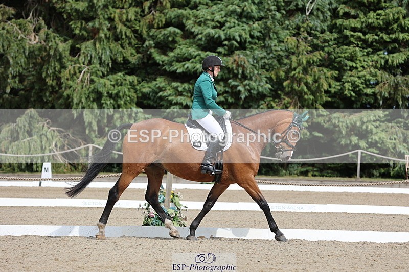 250718A-152806-02571 - 152-Tracy.OKennedy-Wylye.Harlequin