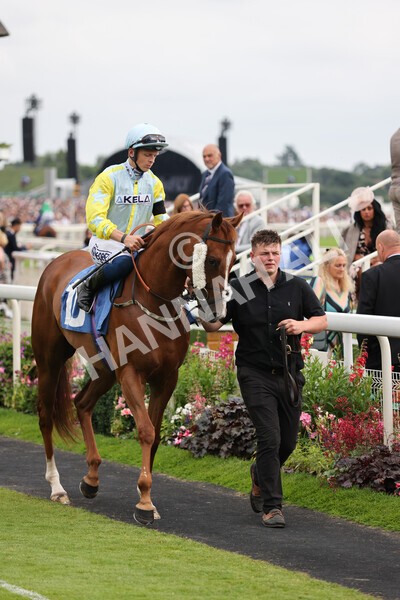 yr24072021r7-33 - Race 7 5.35pm The Sporting Life Fast Results Stakes