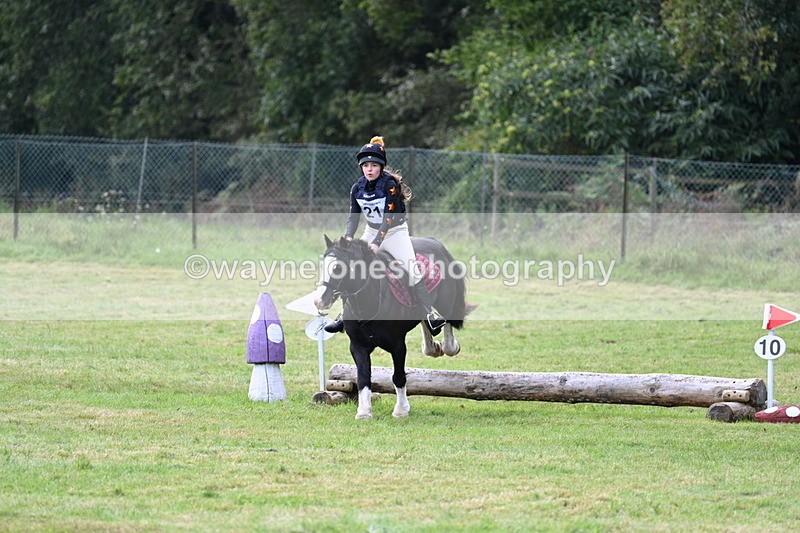 WJ7_8016 - 40cm Time 10:49 to 11:18