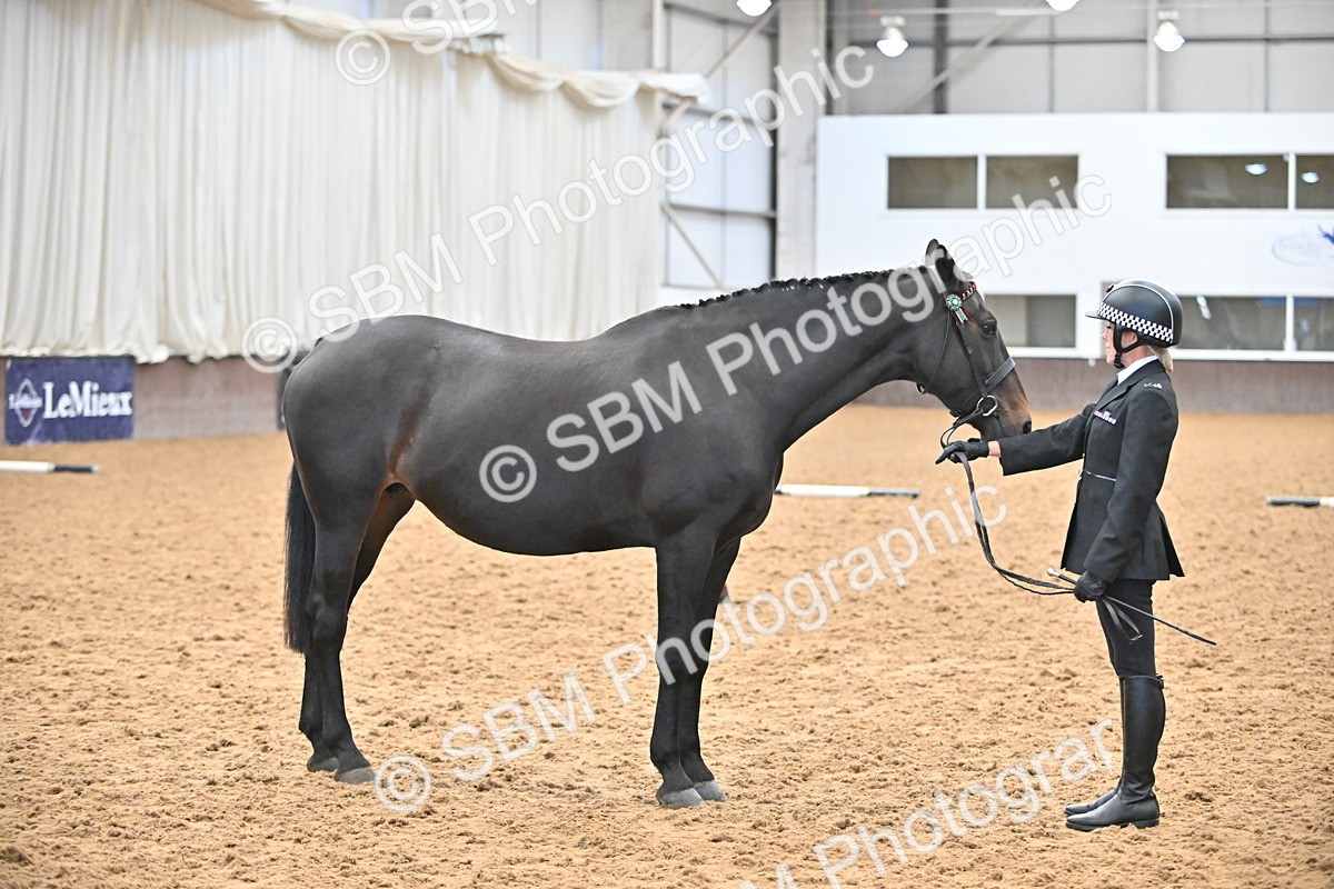 SBM_000089 - Class 4 - BSHA In Hand Show Cob