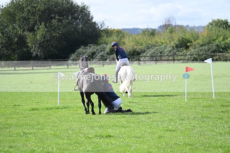 WJ7_8542 - 60cm Pairs