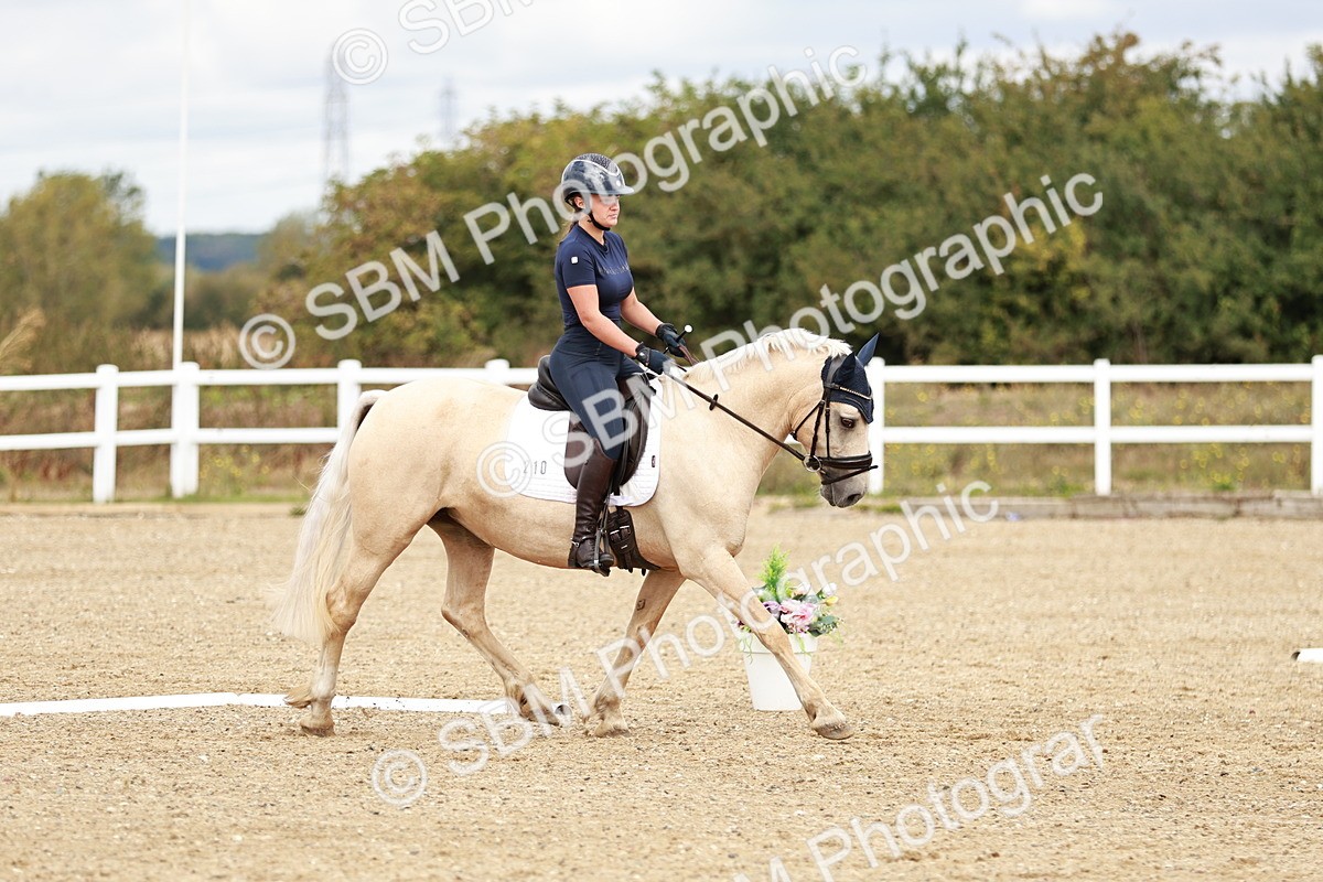 SBM_010167