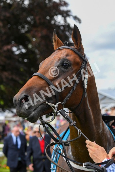 290723-Race 4-Blue Prince-0731 - Race 4 4.00pm 50K ITV7 Weekly Jackpot Nursery Handicap
