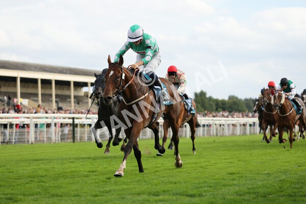 yr04092022r6-35 - Race 6 4.40pm Hanson Springs Stakes