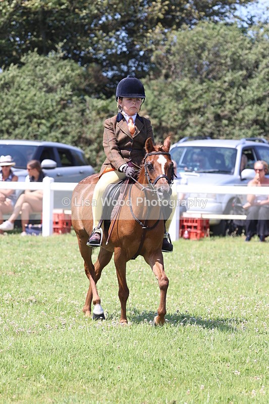 JPP_2354 - Class 20: Tiny Tots Working Hunter Pony