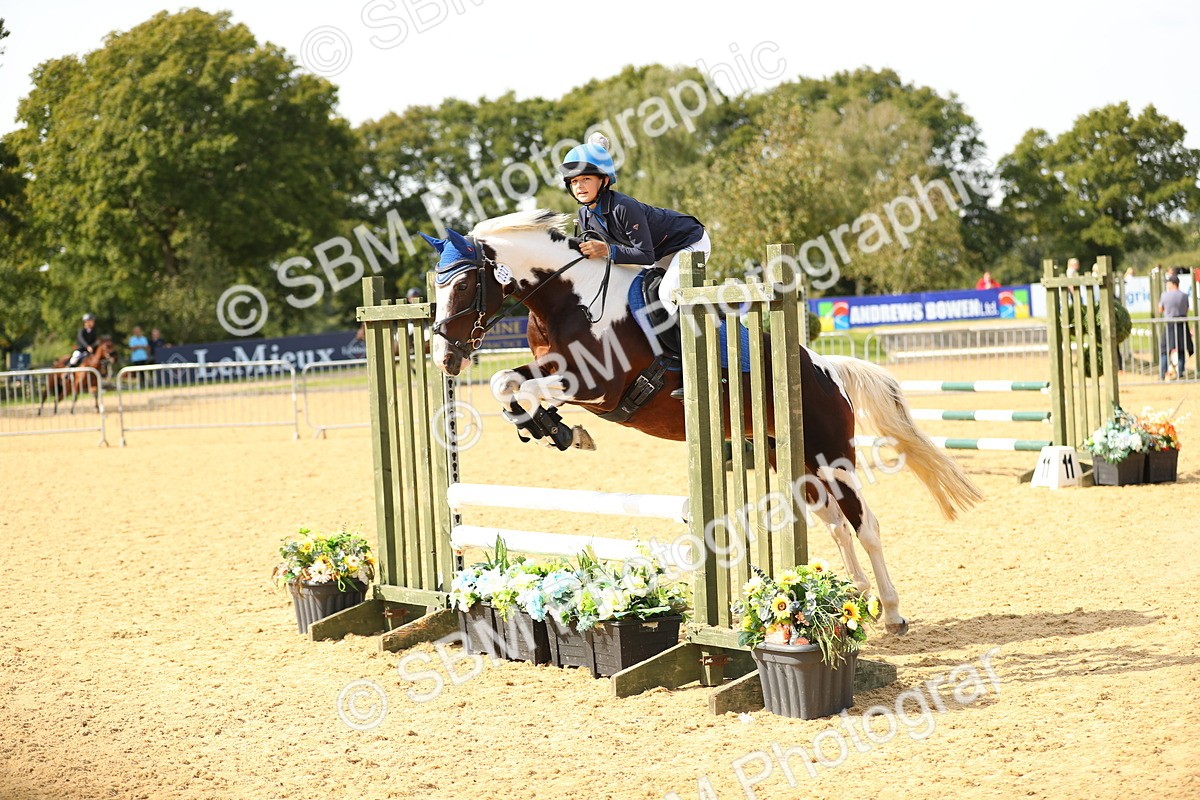 SBM_66230 - J17 - Junior Pony 80cm Championship
