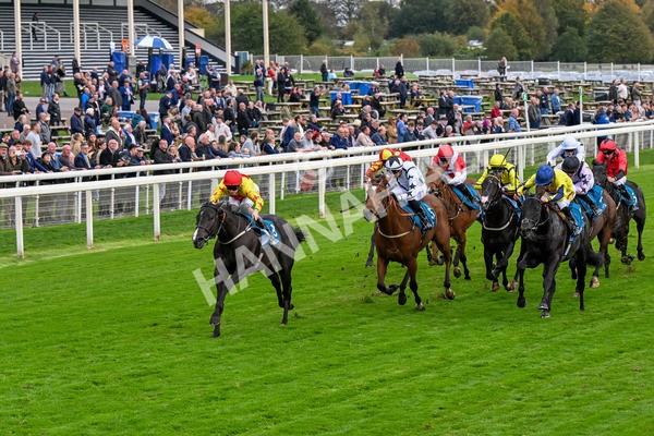 101025-Race 5-Go Vince Go-0395 - Race 5 Parsonage Hotel And Cloisters Spa Nursery Handicap at York