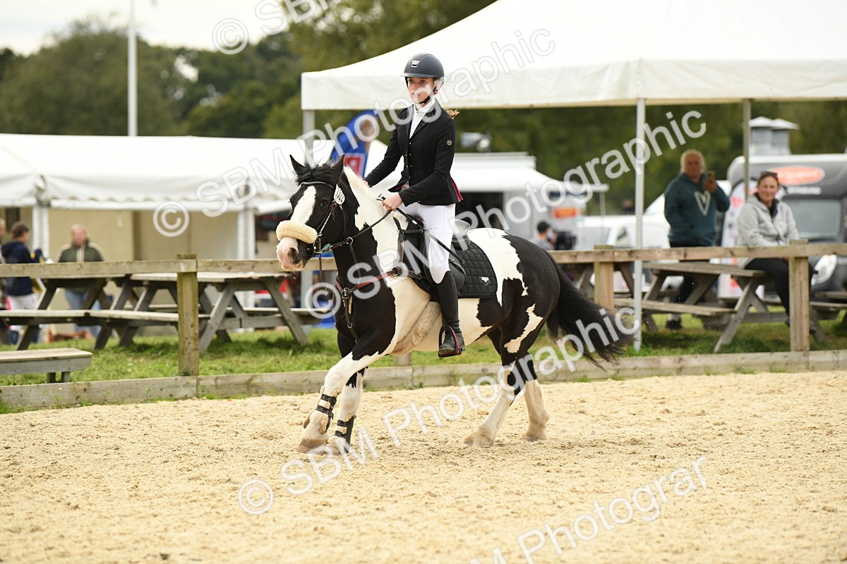 SBM_75687 - Supreme Championship