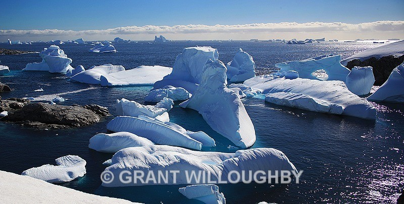 Iceberg graveyard - Antartica