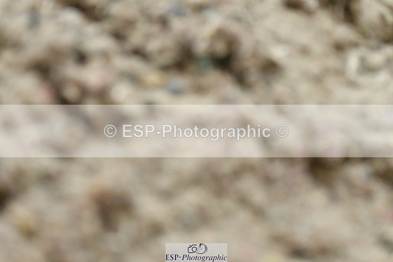 230404-100354-00003 - Cls 1 Walk Trot PC Test