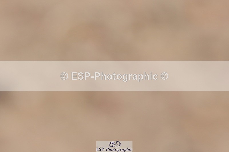 240706A-110900-01510 - Cls 3A Jnr Prelim 7