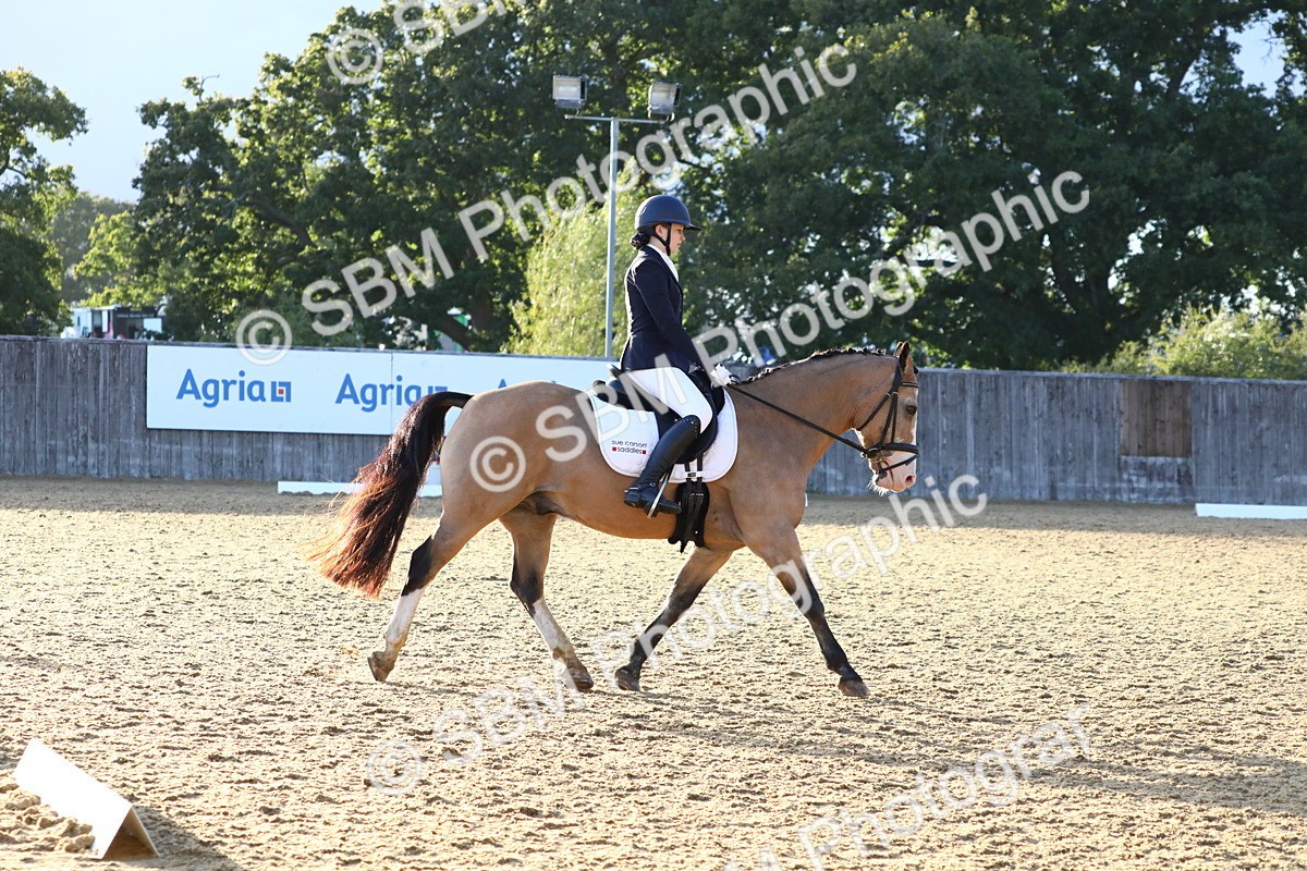 SBM_54528 - D25 - Junior Championship No1 & Elem 2