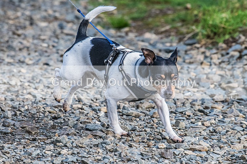 Glentress-608 - High Terrain Events Glentress 21 & 10K Trail Races Saturday 15th November 2025