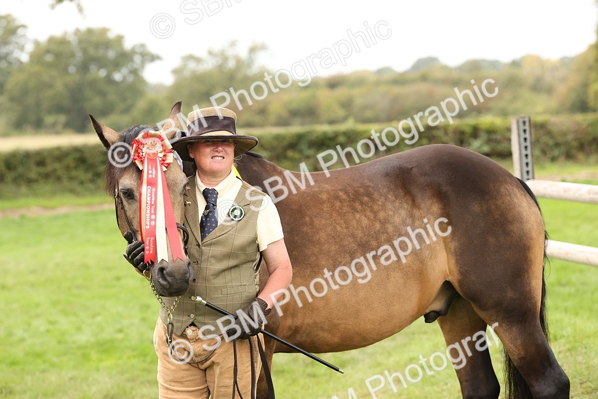 SBM_60882 - In Hand Horse Supreme Championship