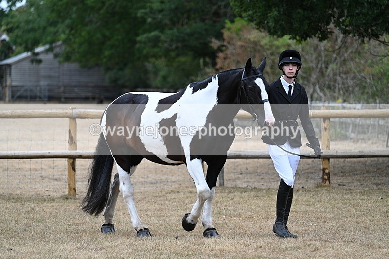 WJ7_8675 - Class 4a Prettiest Mare 14.2hh and over