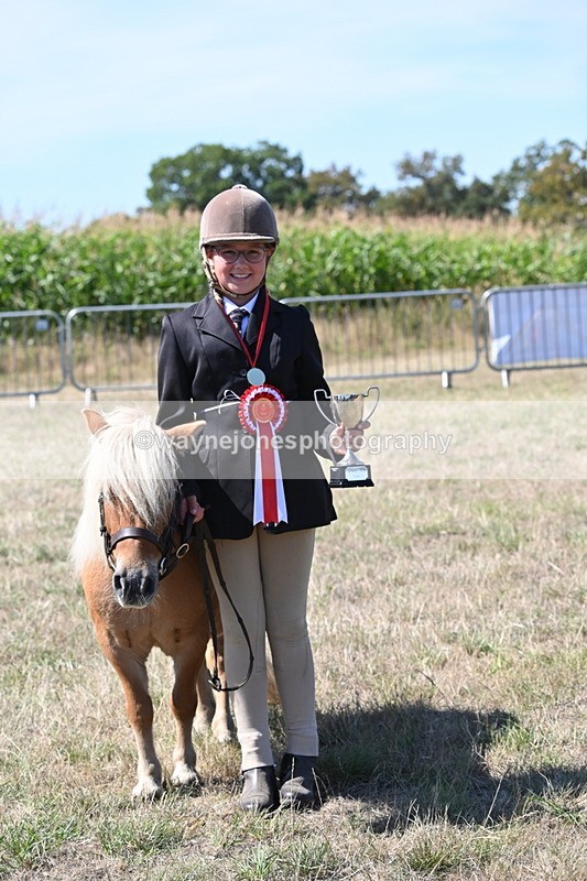 WJ6_8758 - Class 37b Best Loan Pony In-hand