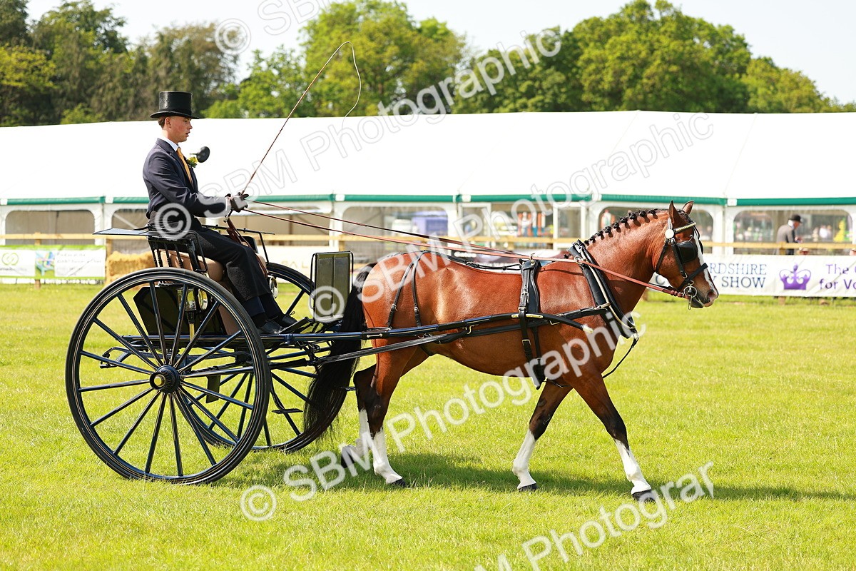 SBM_02704 - Class 2-4 - HOYS Private Driving