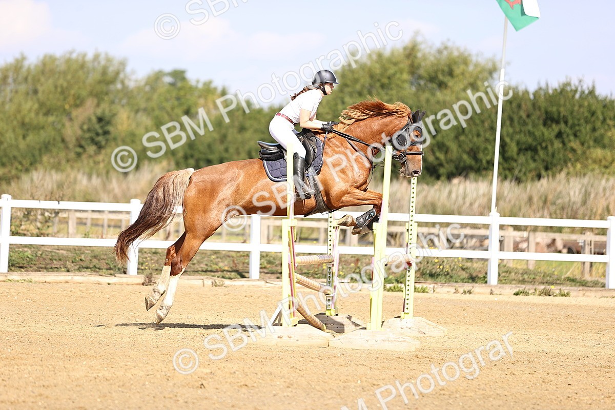 SBM_005640 - Class 9 - Senior British Novice - 90cm