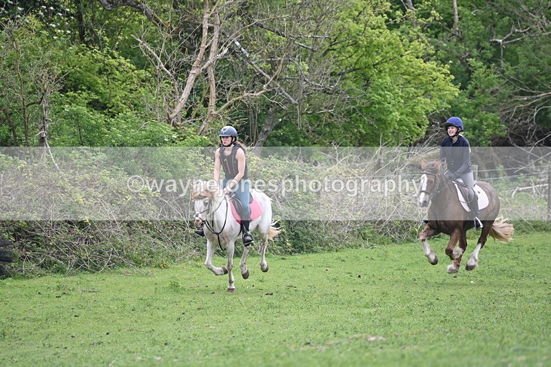 WJ6_3287 - A camera