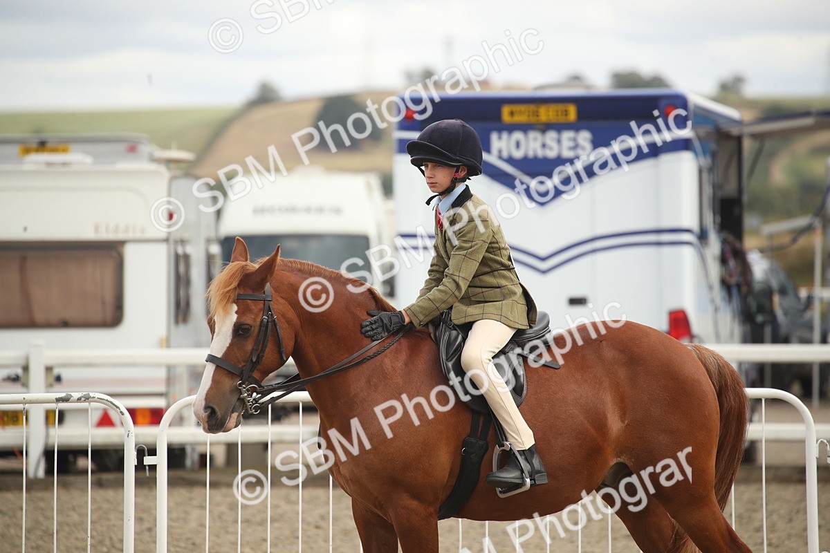 SBM_17891 - Class 508b - Working Veteran 70cm (20+)