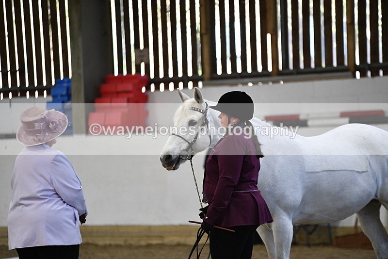 WJ5_3690 - Class 5 In Hand Veterans