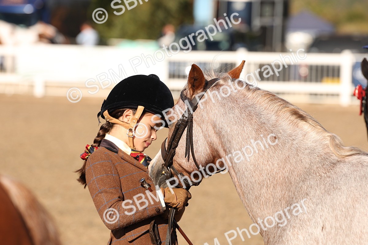 SBM_11682 - Class 203 - Young Handler 11 to 16 years