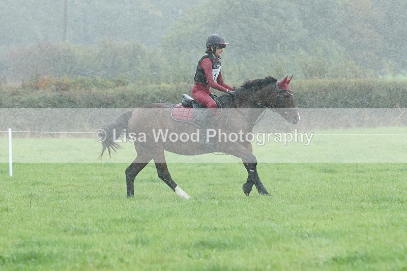 JPP_5054 - Class 1: 65cm : Showjumping