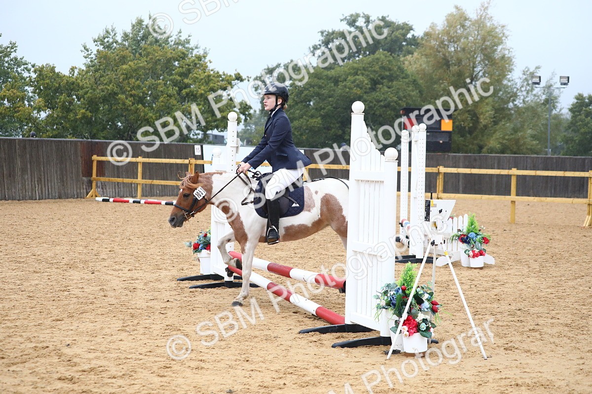 SBM_71776 - J4 - Mini Tour Junior Pony 45cm Championship