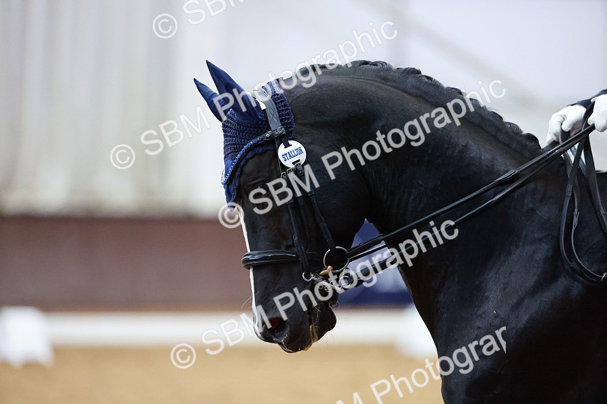 SBM_003907 - Class 1 - M5