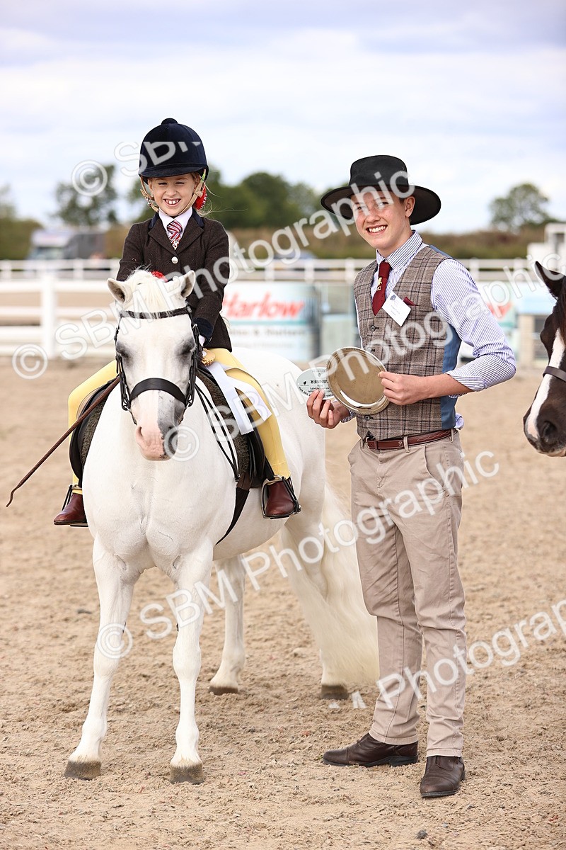 SBM_15968 - Class 416 - Prettiest Mare (IH or Ridden) Jnr