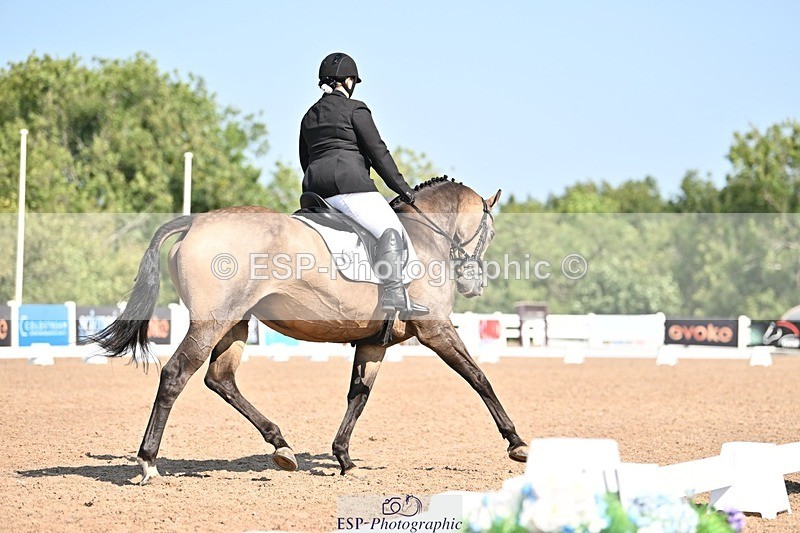 250816-105326-03228 - 093-Jocelyn.GilmoreSpring.lily