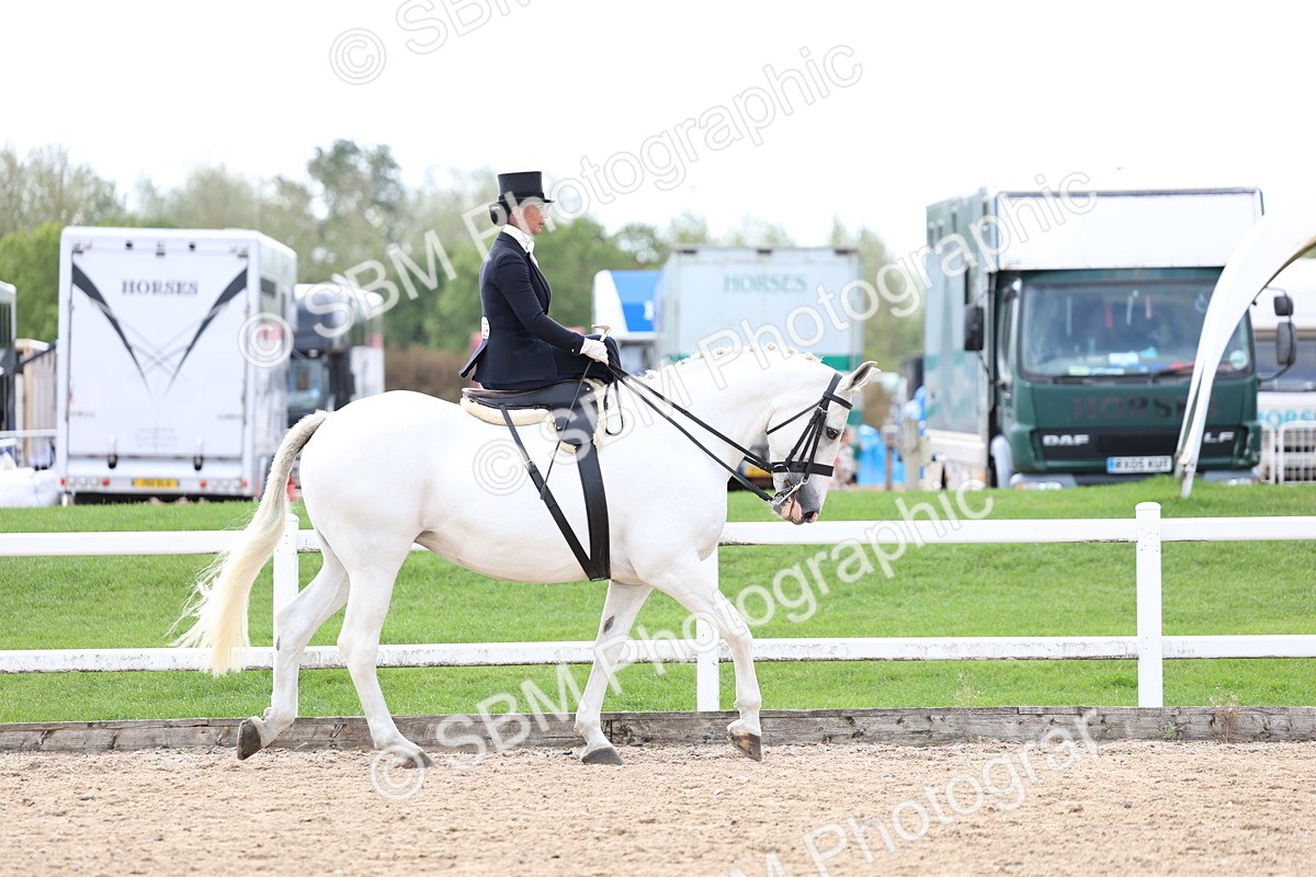 SBM_03170 - Class 22 - SSA Equitation (any age)