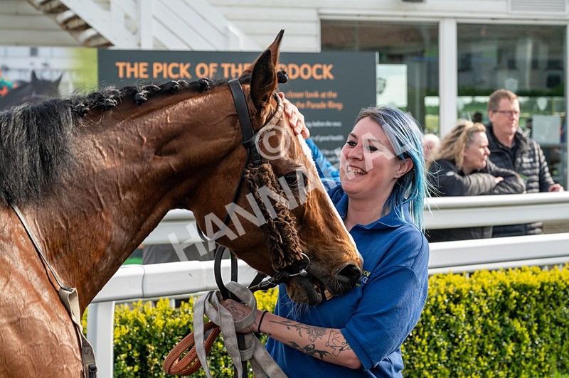 300424-Race 1-Variety Island-4184 - Race 1