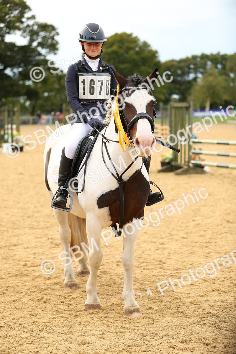SBM_71313 - J18 - Junior Pony 85cm Championship