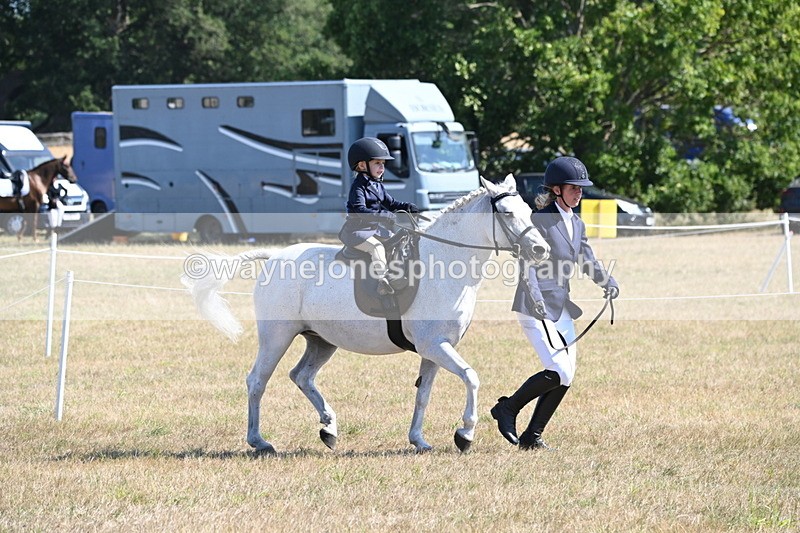 WJ6_7756 - Class 36 Lead Rein