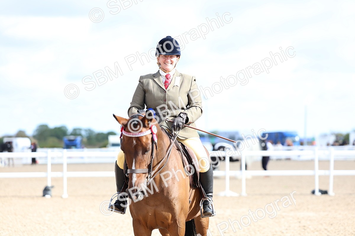 SBM_09177 - Class 303 - Ridden Pure Bred Horse Pony