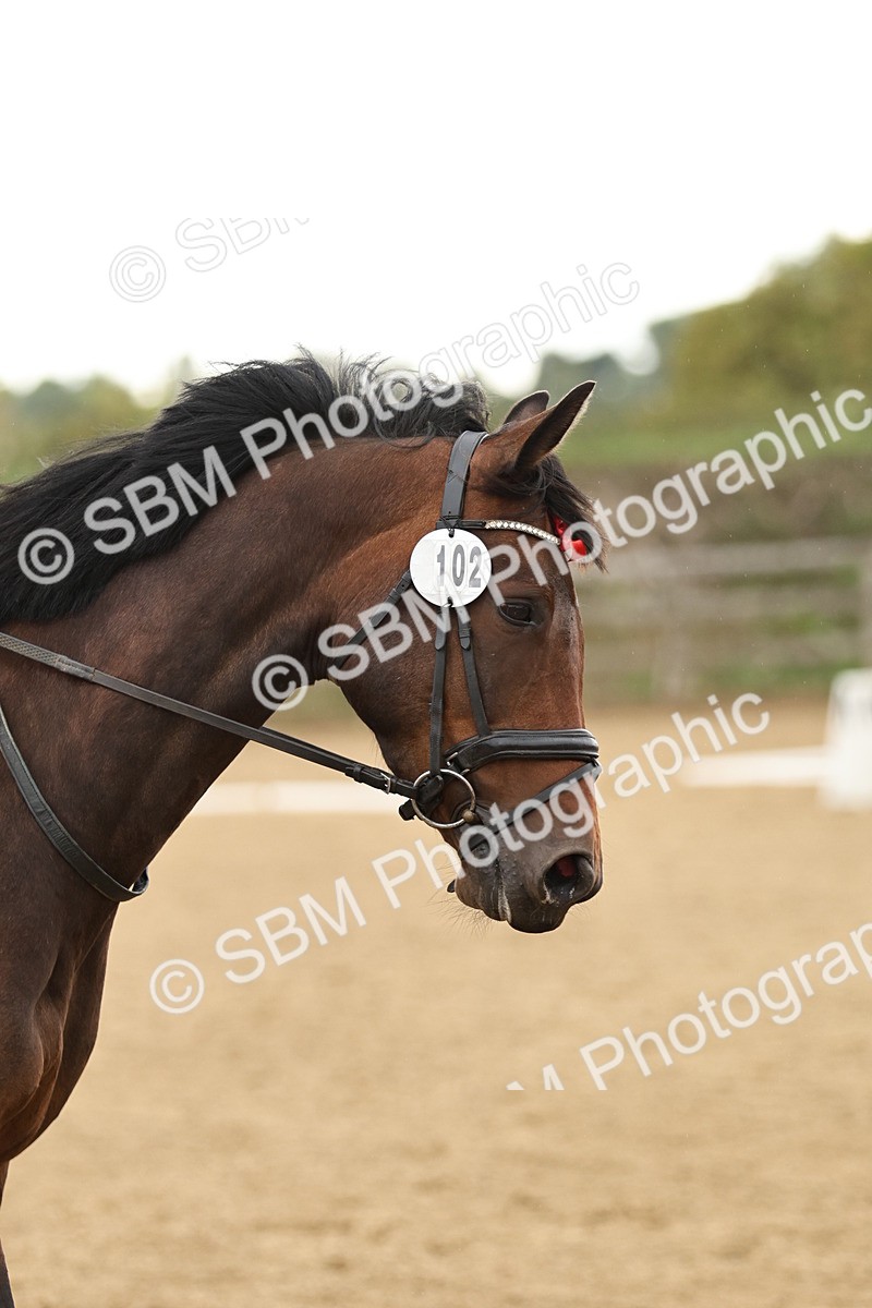 SBM_002130 - Intro 1-2