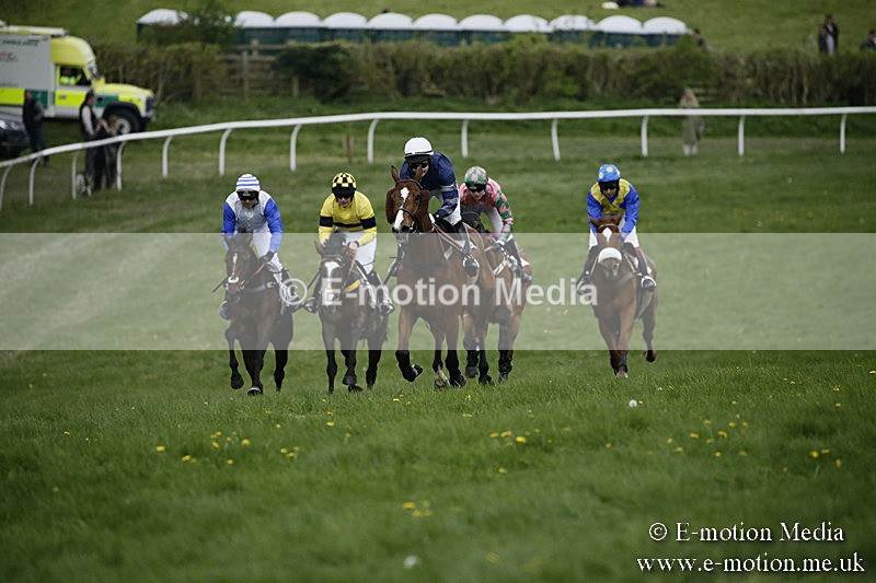 PtP 170417 528 - Old Berks Point-to-Point Lockinge 17/04/17