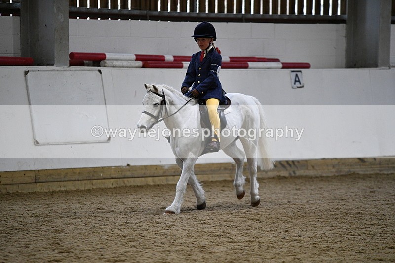 WJ5_7216 - Class 11 Ridden PC - RC Pony