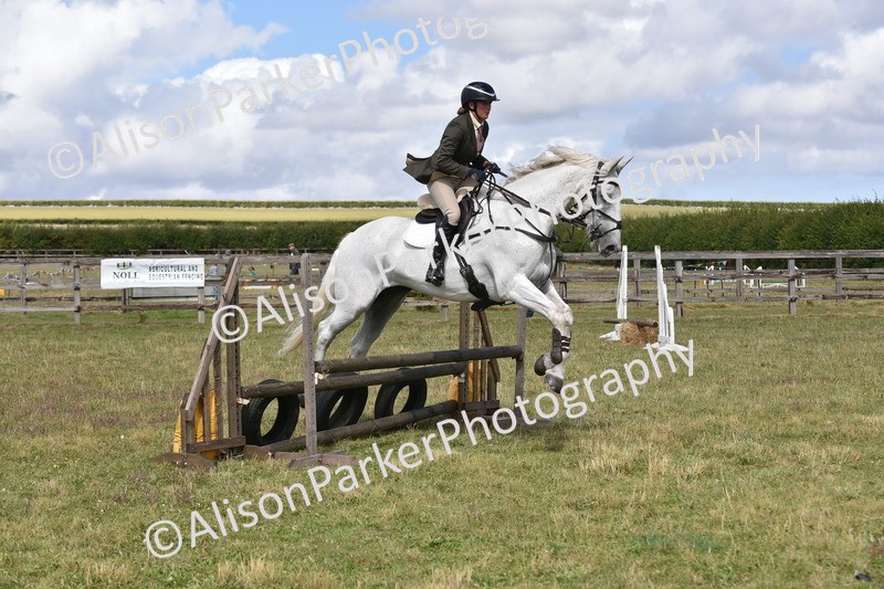 20250831-4118 - Class 13 - Working Hunter Horse or Pony